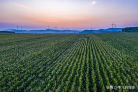 冷空气来袭，本轮强降雨形式大变，具体分布如下，8~9号天气预报