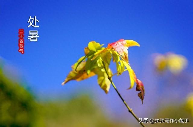 今日处暑是“凶日”，牢记：1不去，2不吃，3不做，老传统要记得  第1张